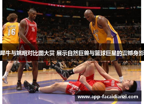 犀牛与姚明对比图大赏 展示自然巨兽与篮球巨星的震撼身影