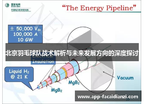 北京羽毛球队战术解析与未来发展方向的深度探讨